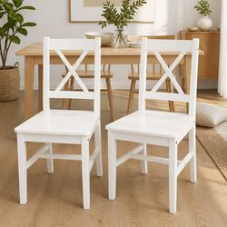 Elegant White Dining Chairs Set of 2 for Kitchen
