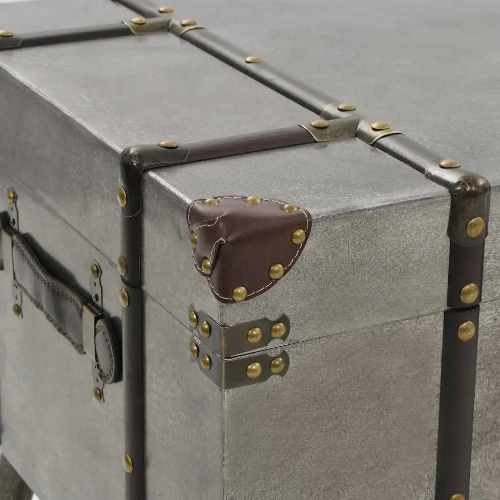 Coffee Table Trunk Design Storage MDF Aluminium Silver Accent Living Room