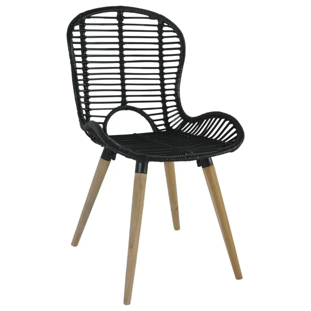 Rattan Dining Chairs Set of 2 for Living Spaces