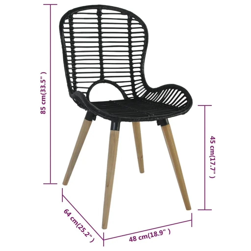 Rattan Dining Chairs Set of 2 for Living Spaces