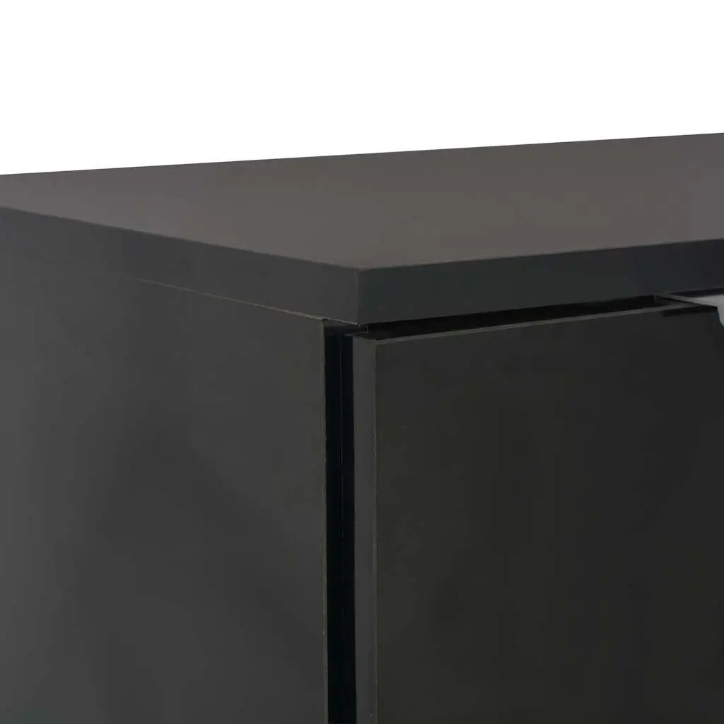 High Gloss Black Sideboard Storage Cabinet with 2 Drawers