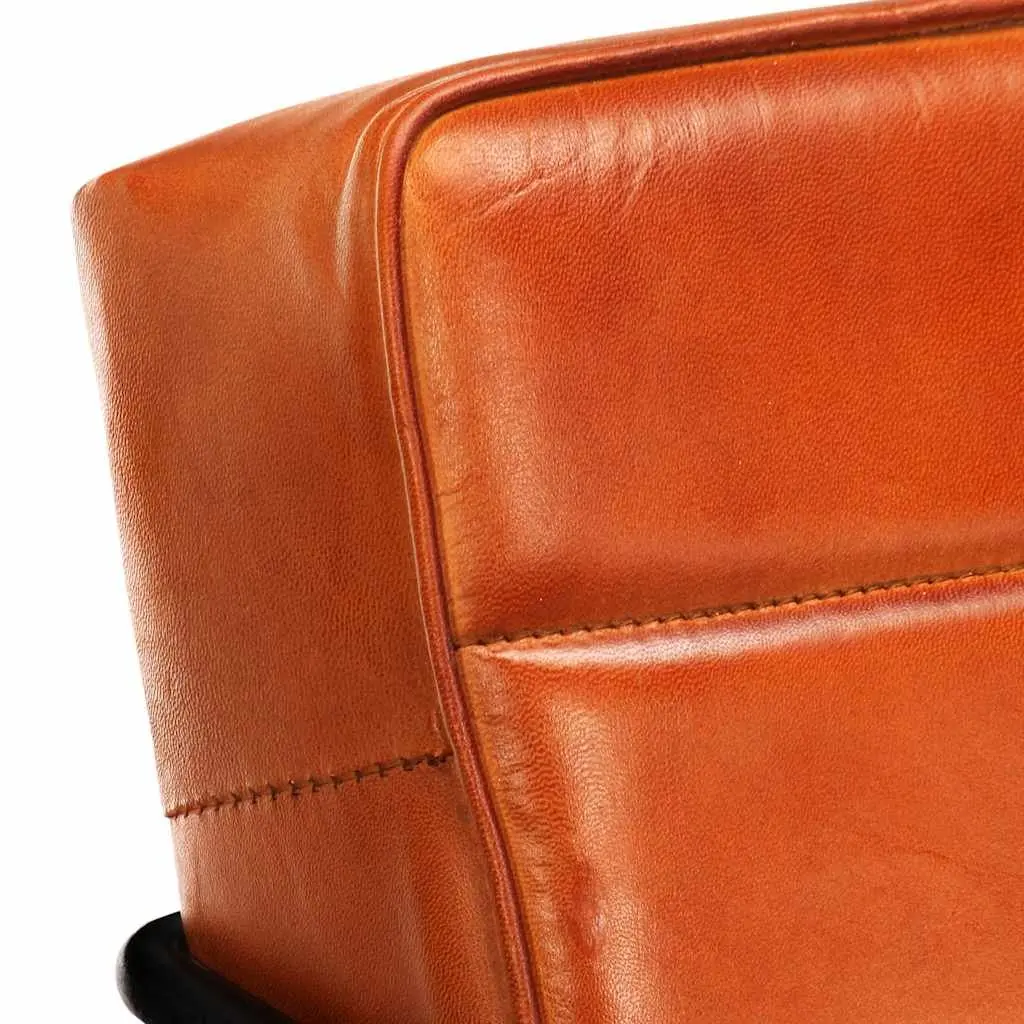 Brown Leather Armchair for Relaxing