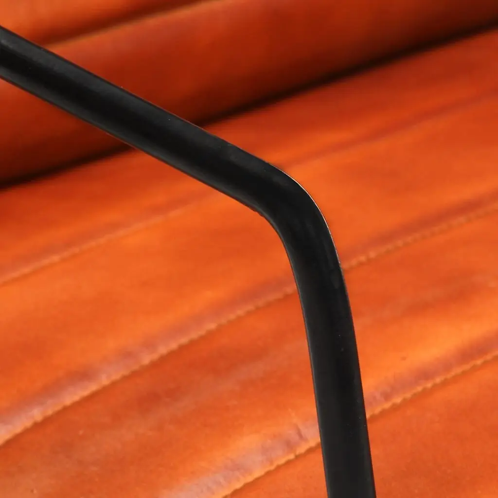 Brown Leather Armchair for Relaxing