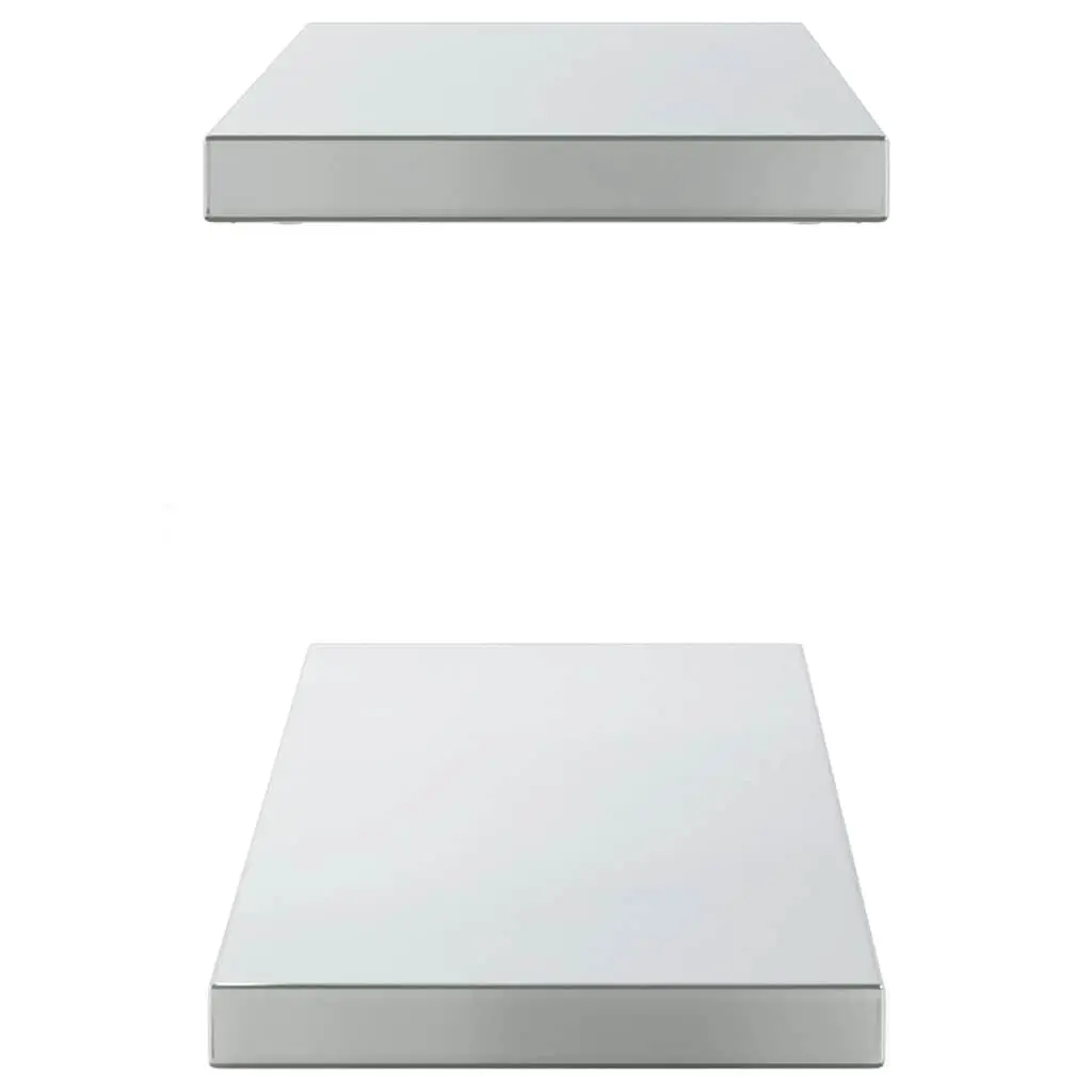 Wall Shelves Silver 100x23.5 cm Stainless Steel Floating Storage Display 2 Piece