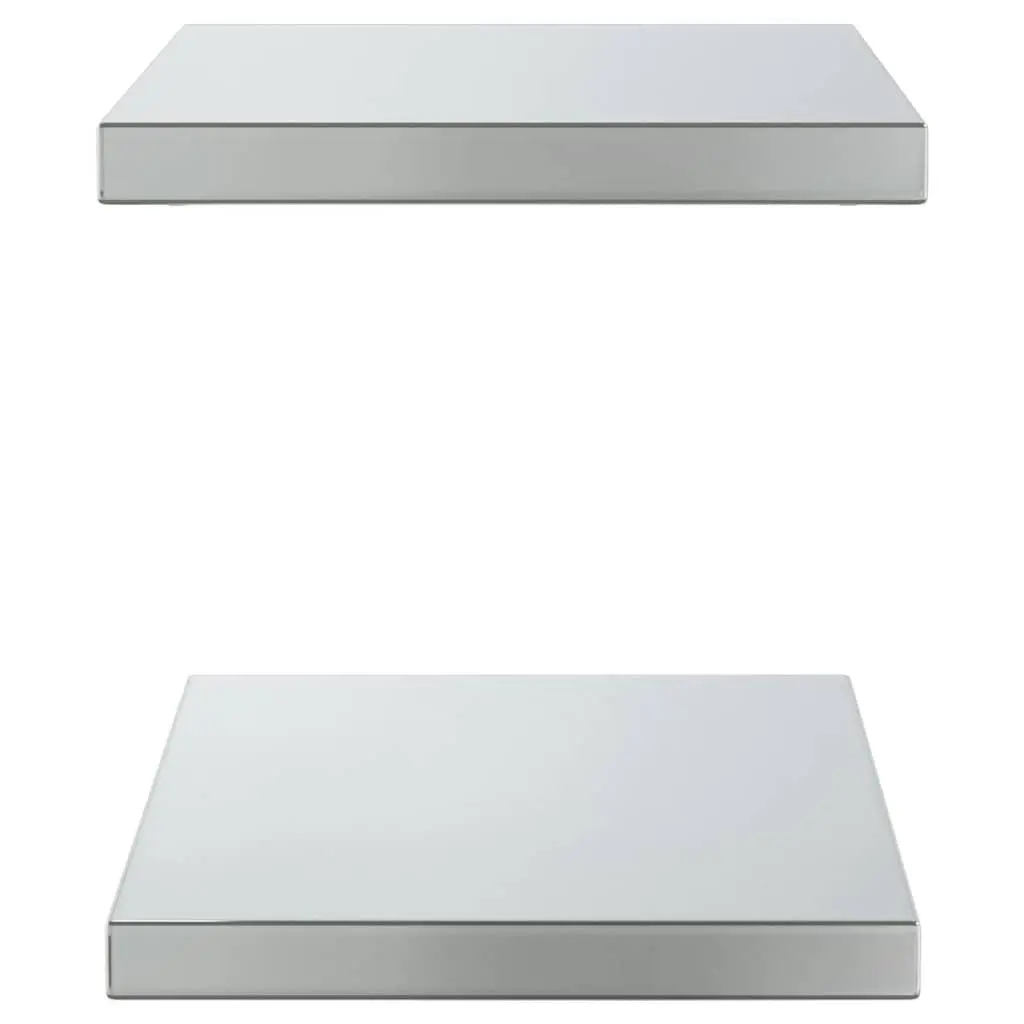 Wall Shelves Silver 50x30 cm Stainless Steel Floating Shelf Storage Display