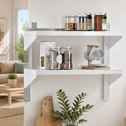 Charming 2-Tier Stainless Steel Wall Shelf for Home Use
