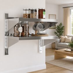 2-Tier Stainless Steel Wall Shelf for Home Organizing