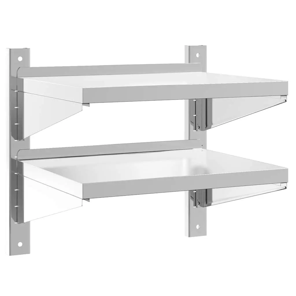 2-Tier Stainless Steel Wall Shelf for Home Organizing