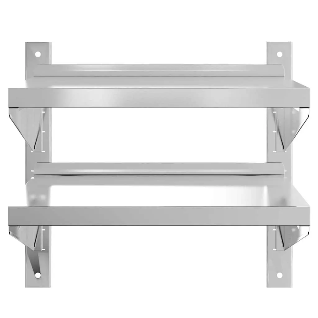 2-Tier Stainless Steel Wall Shelf for Home Organizing