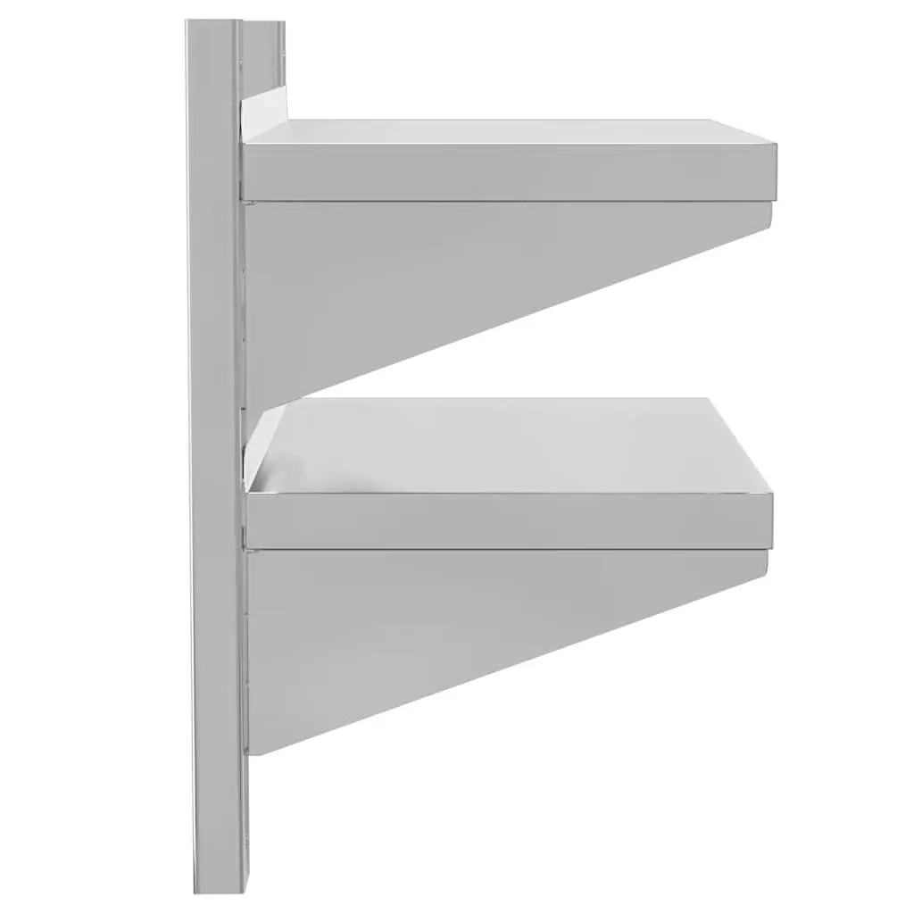 2-Tier Wall Shelf in Silver Stainless Steel for Storage