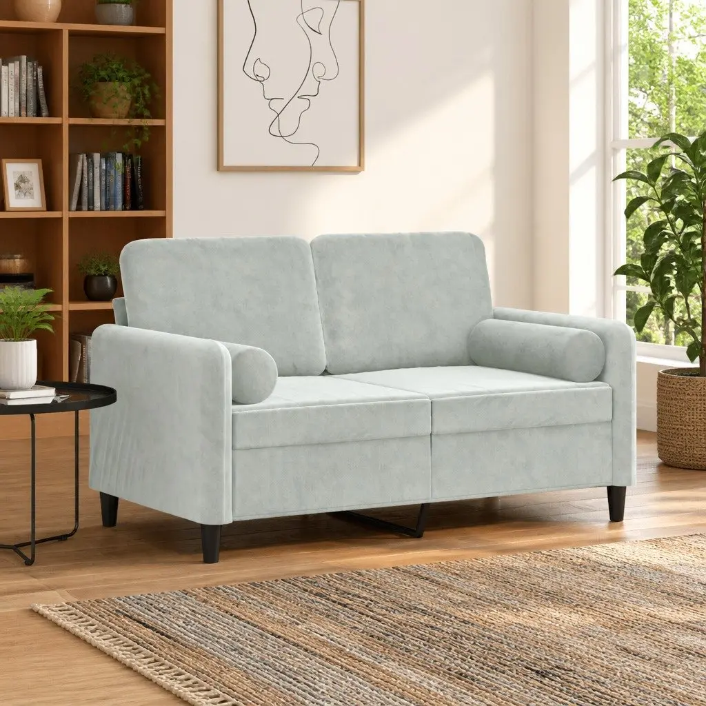 2-Seater Sofa in Light Grey Velvet with Cushions