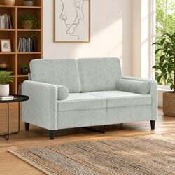 Cozy 2-Seater Sofa in Light Grey Velvet with Cushions