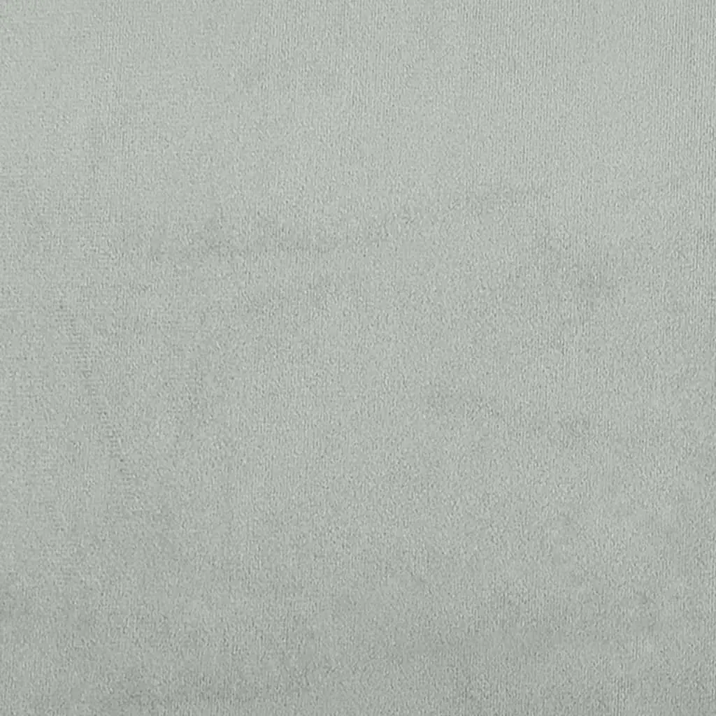 2-Seater Sofa in Light Grey Velvet with Cushions