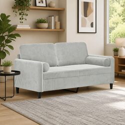 Modern 2-Seater Grey Velvet Lounge Sofa with Pillows