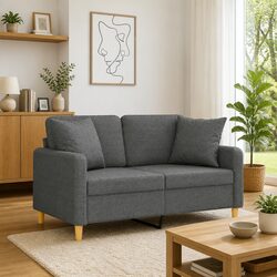 Modern Grey Fabric 2-Seater Sofa with Throw Pillows