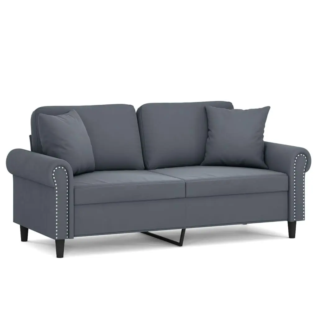 Grey Velvet 2-Seater Lounge Sofa with Pillows