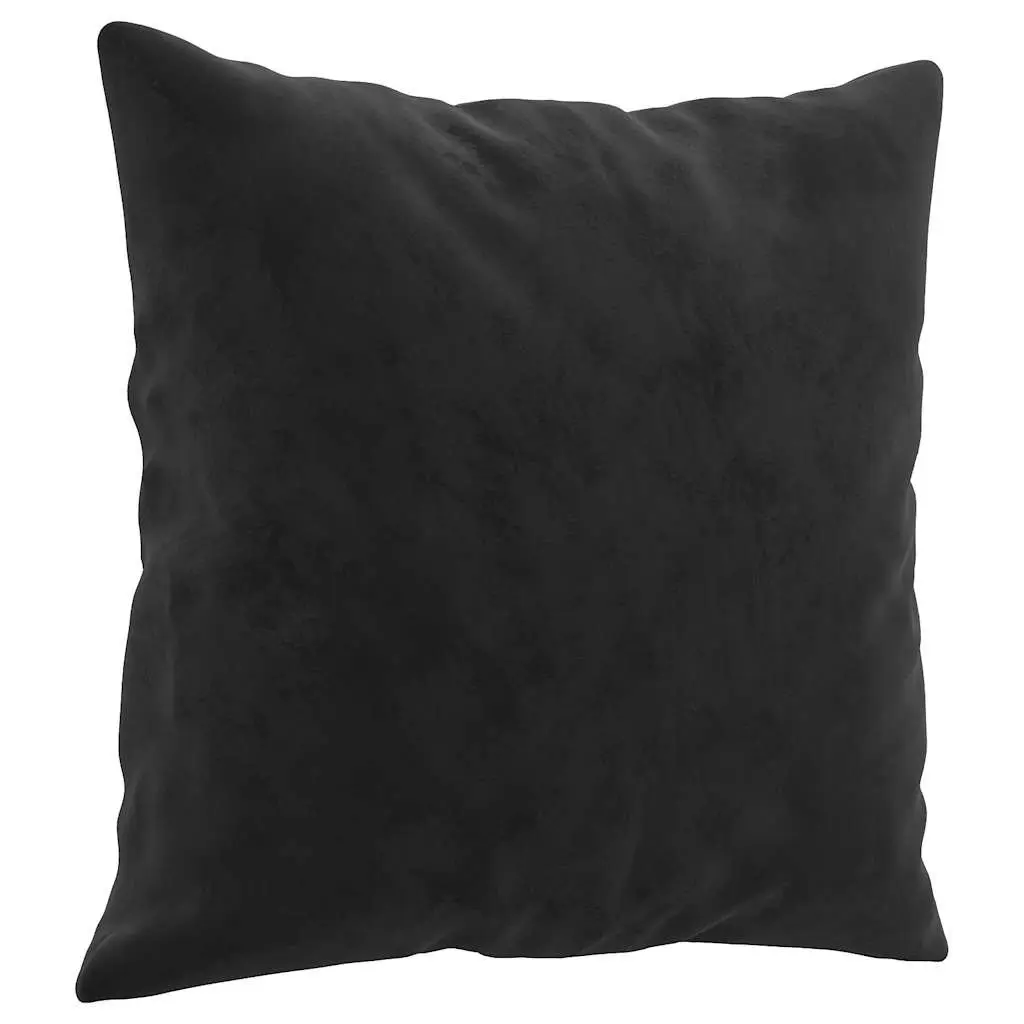 2-Seater Black Velvet Sofa with Cushions