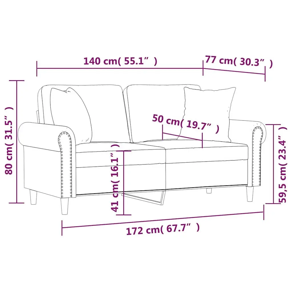 2-Seater Black Velvet Sofa with Cushions