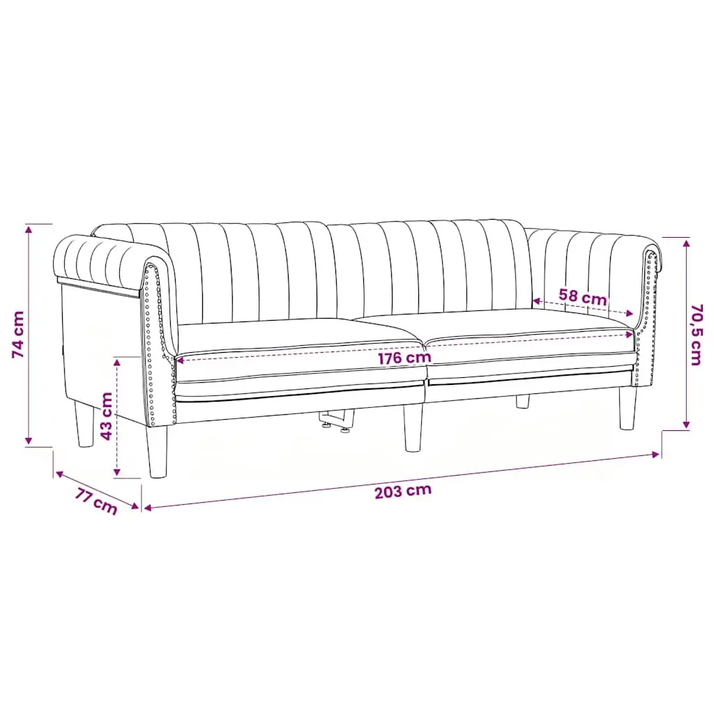 2 Piece Sofa Set Black Velvet Living Room Furniture Modern Design Comfortable