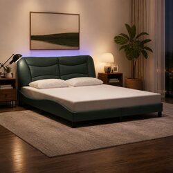 Queen Bed Frame with Integrated LED Lights Black Fabric
