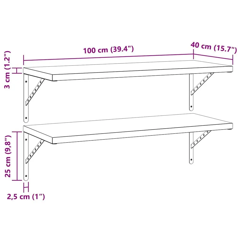 Wall Shelves Stainless Steel 100x40 cm Floating Storage Display Shelf 2 pcs