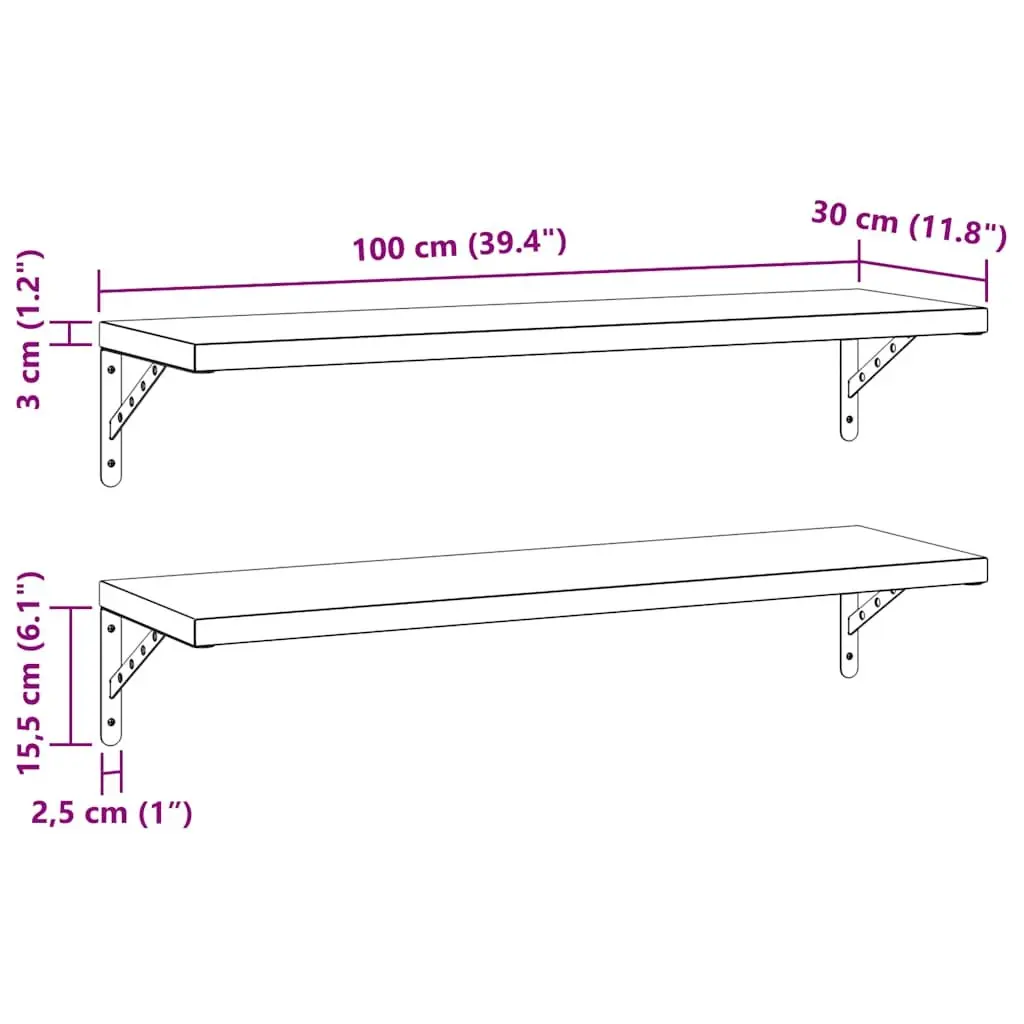 Wall Shelves Stainless Steel 100x30 cm Floating Storage Shelving 2 Piece