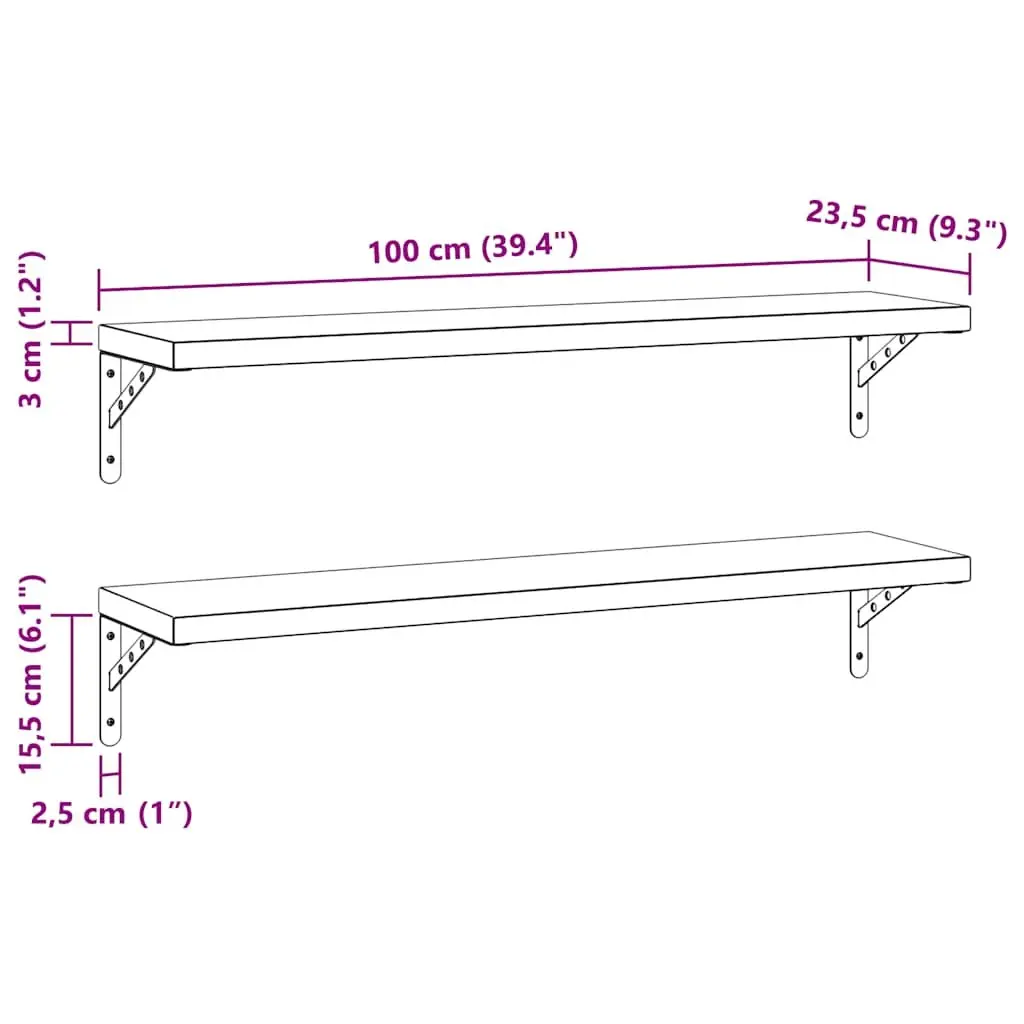 Wall Shelves Silver 100x23.5 cm Stainless Steel Floating Storage Display Rack 2 Piece