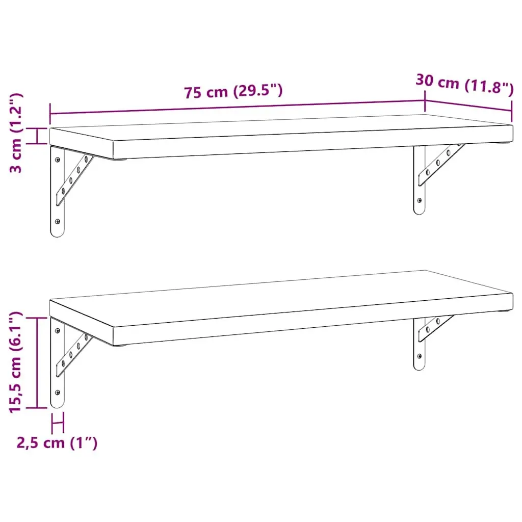 Silver Stainless Steel Wall Shelves 2 pcs 75x30 cm
