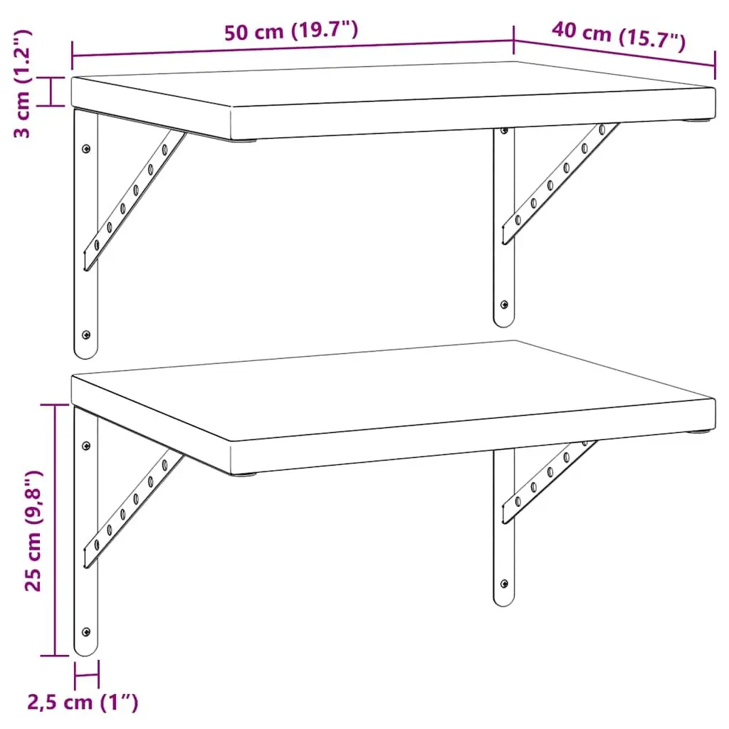 Silver Stainless Steel Floating Wall Shelves 50x40 cm