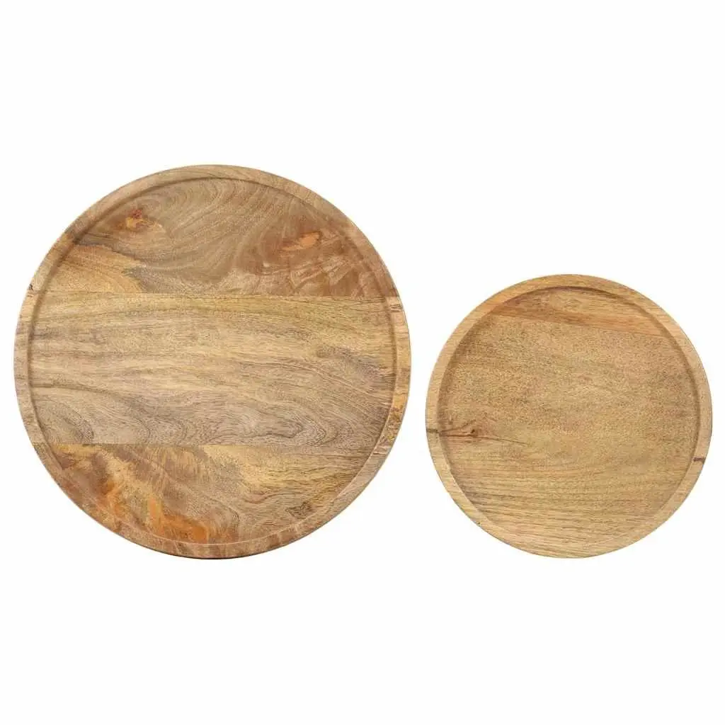 2 Piece Coffee Table Set in Solid Mango Wood and Steel Frame