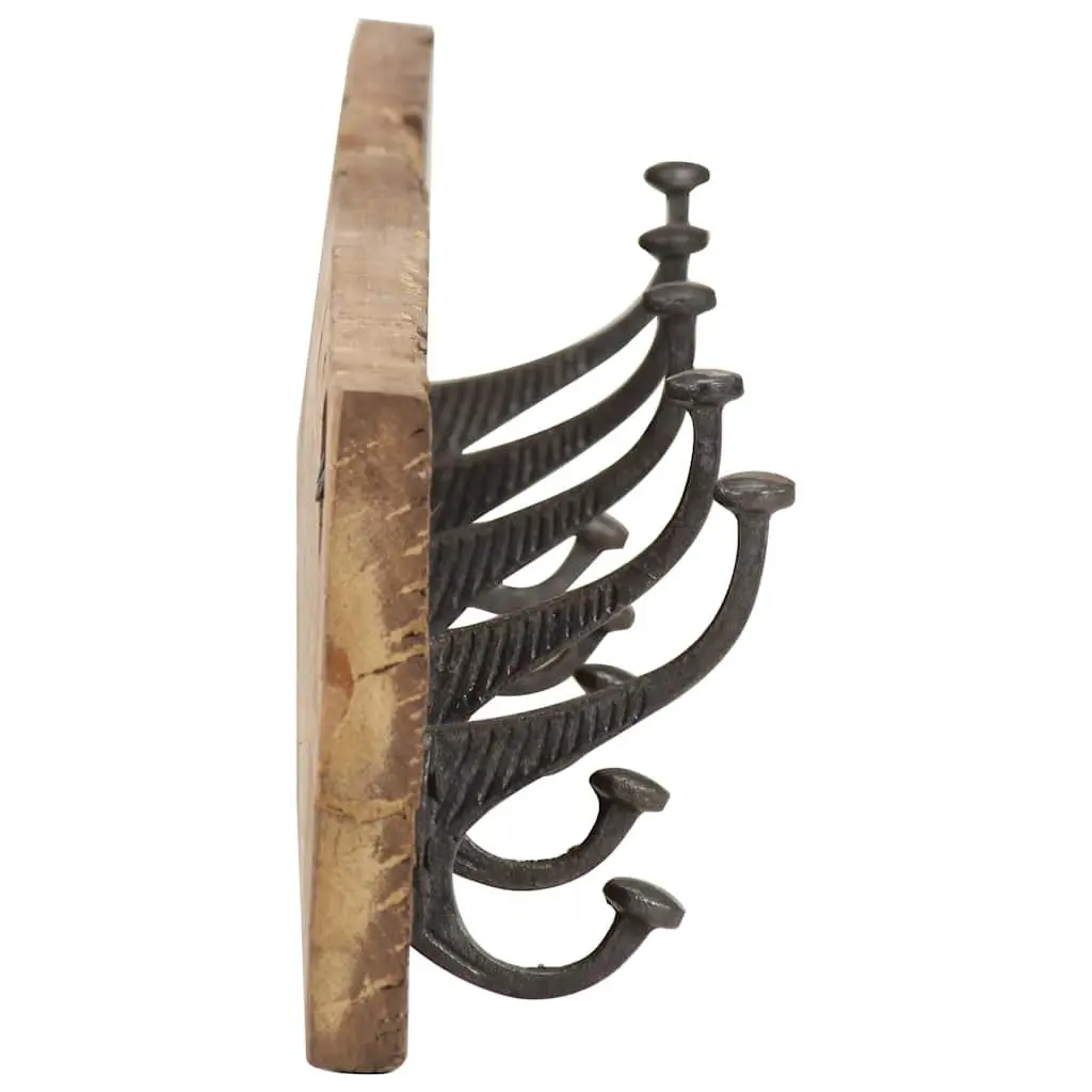 Solid Reclaimed Wood Hall Hanger with 5 Hooks
