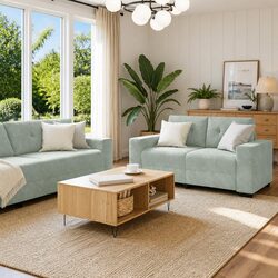Inviting Grey Velvet 2 Piece Sofa Set with Cushions