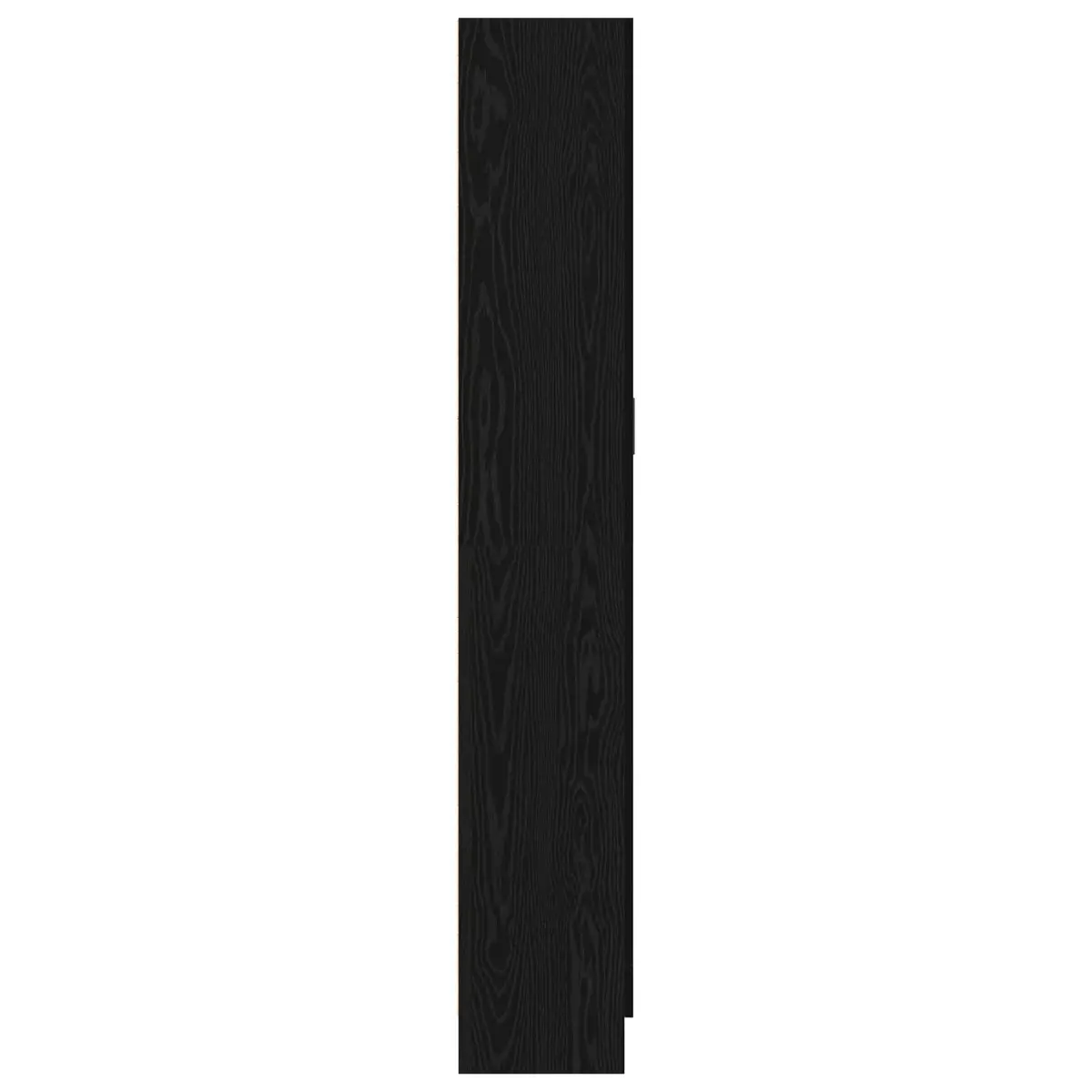 Black Oak Book Cabinet with Hinge Doors