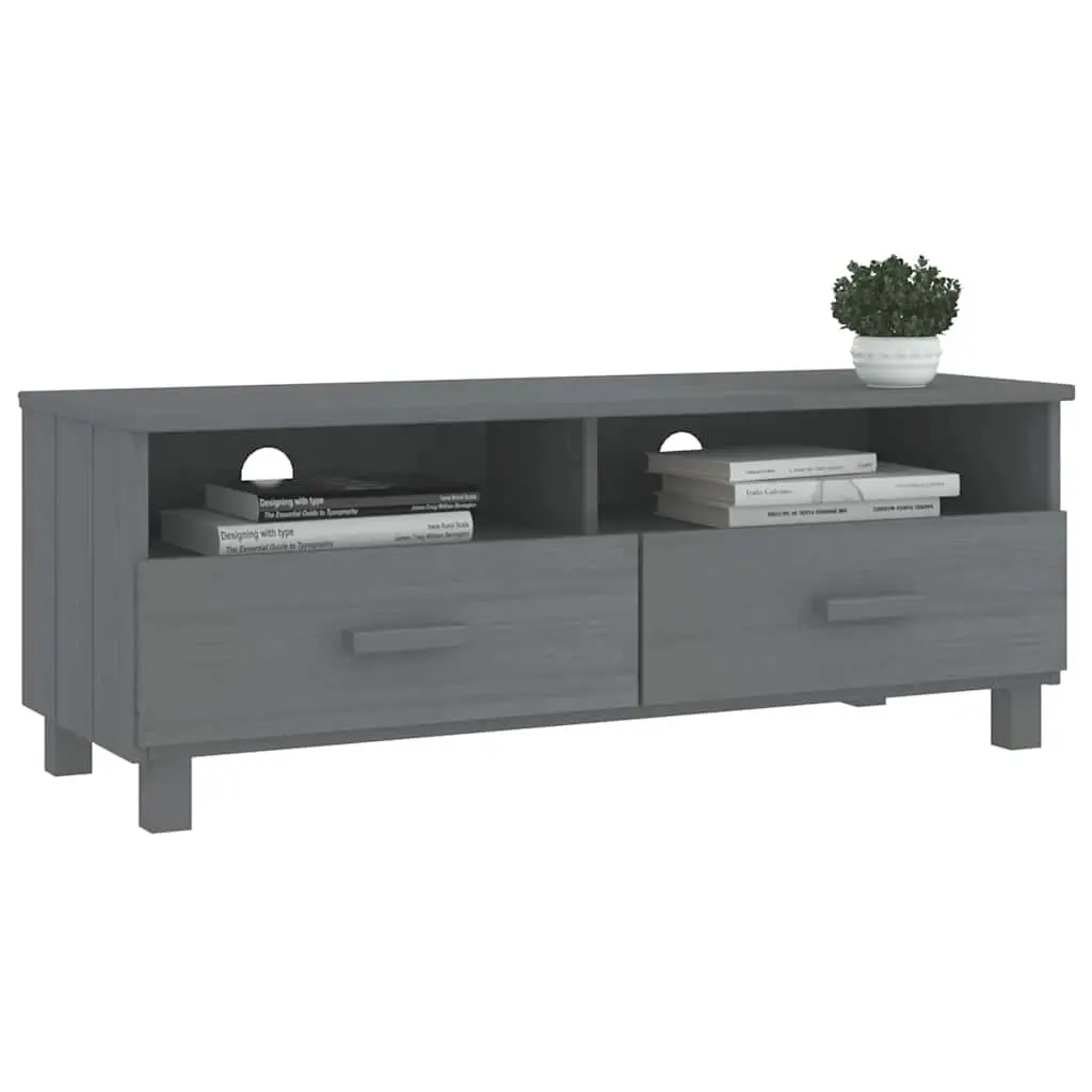 Grey Wooden TV Cabinet with Sliding Drawers