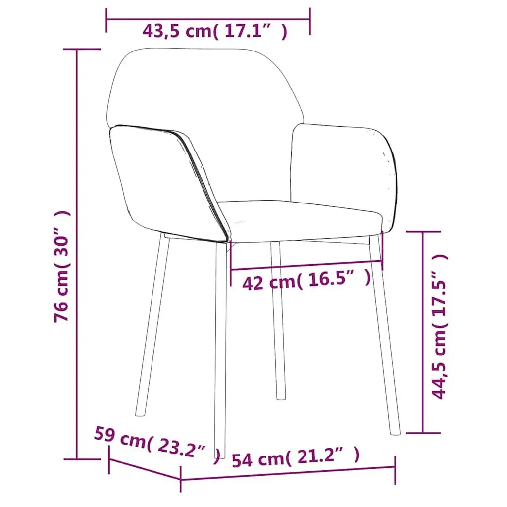 Dining Chairs Black Velvet 2 pcs Padded Foam Armrest Backrest Metal Plywood Frame