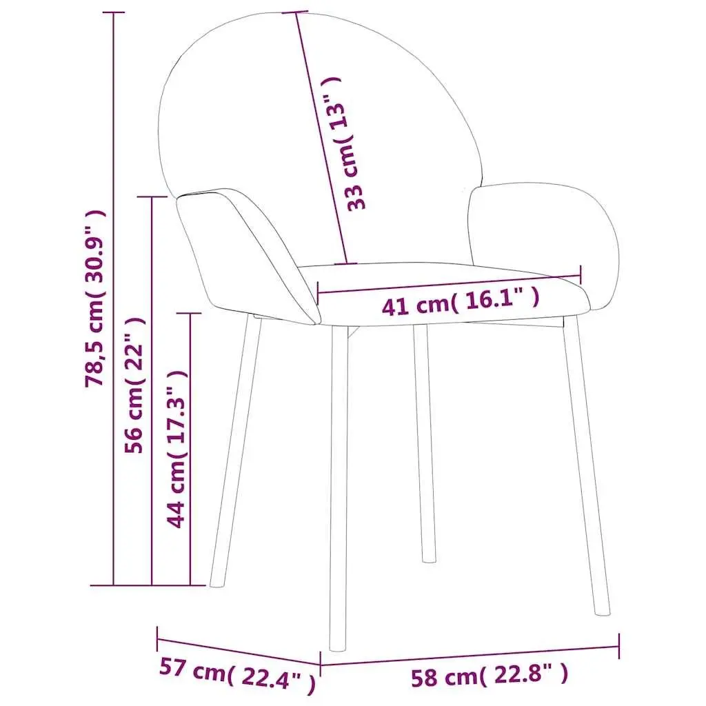 Dining Chairs 2 pcs Black Velvet Kitchen Room Seat Armrest Backrest Padded Foam