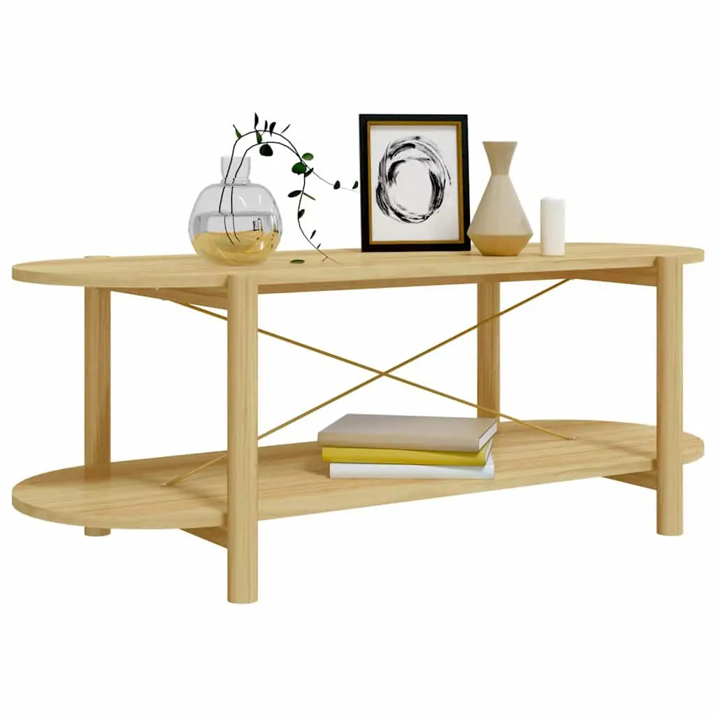 Coffee Table Brown 110x48x40 cm Engineered Wood Storage Side Table