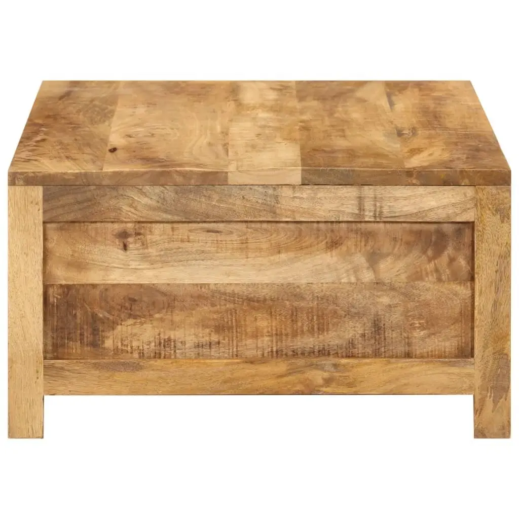 Coffee Table with Storage Compartment 80x55x30 cm