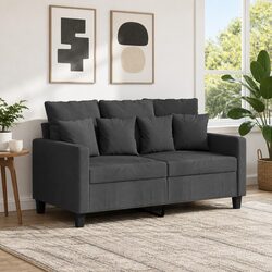 Modern 2-Seater Grey Fabric Sofa for Cozy Living Spaces