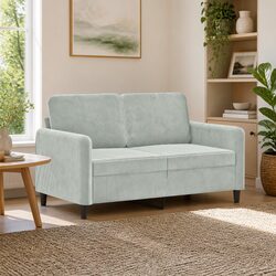 Cozy 2-Seater Sofa in Grey Velvet for Your Living Room
