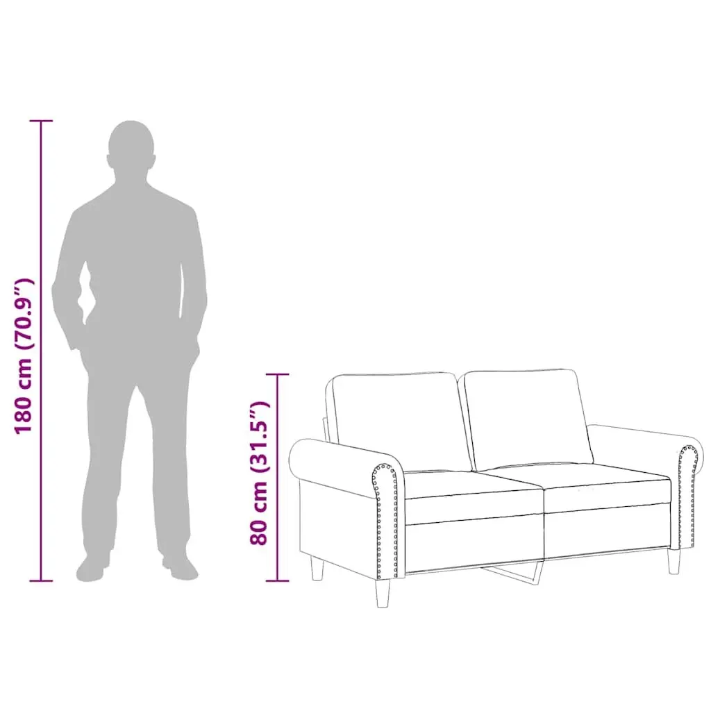 2-Seater Sofa Black 120cm Velvet Modern Couch