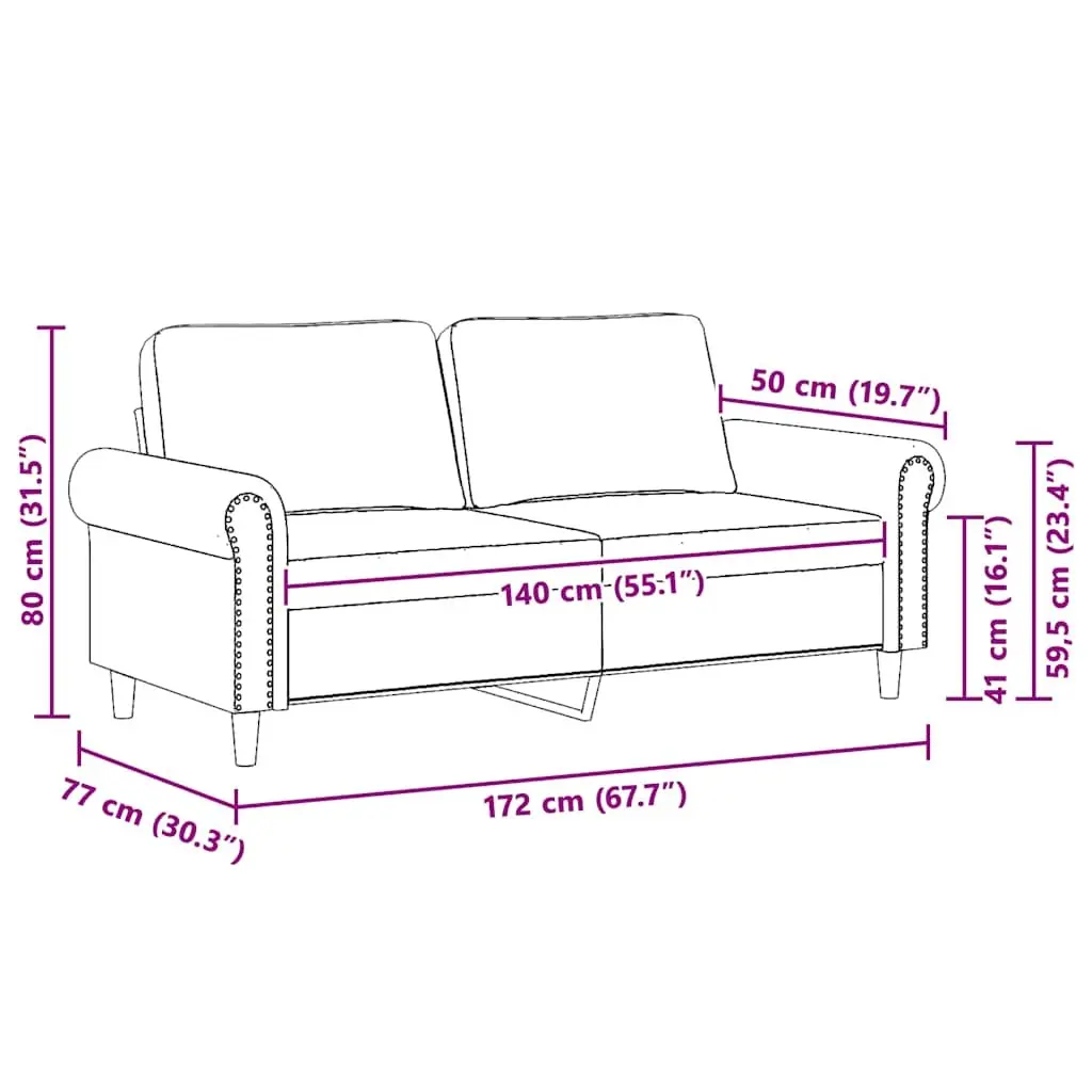Black Velvet 2-Seater Sofa for Living Rooms
