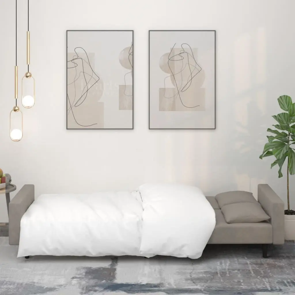 2-Seater Sofa Bed Convertible Grey Velvet Guest Furniture