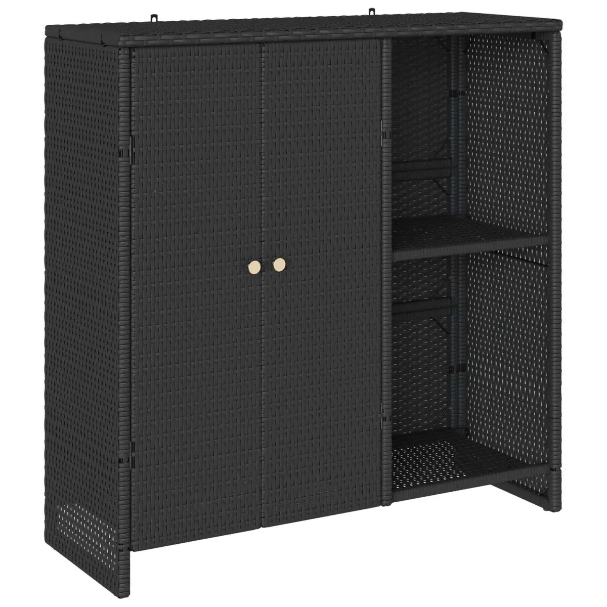Storage Cabinet Black Rattan Rectangular Modern Living Room Organizer