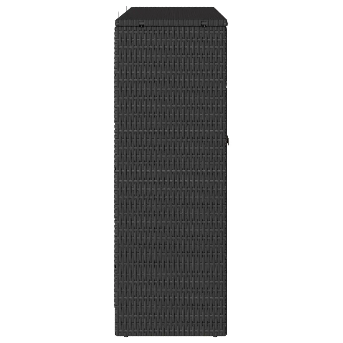 Storage Cabinet Black Rattan Rectangular Modern Living Room Organizer