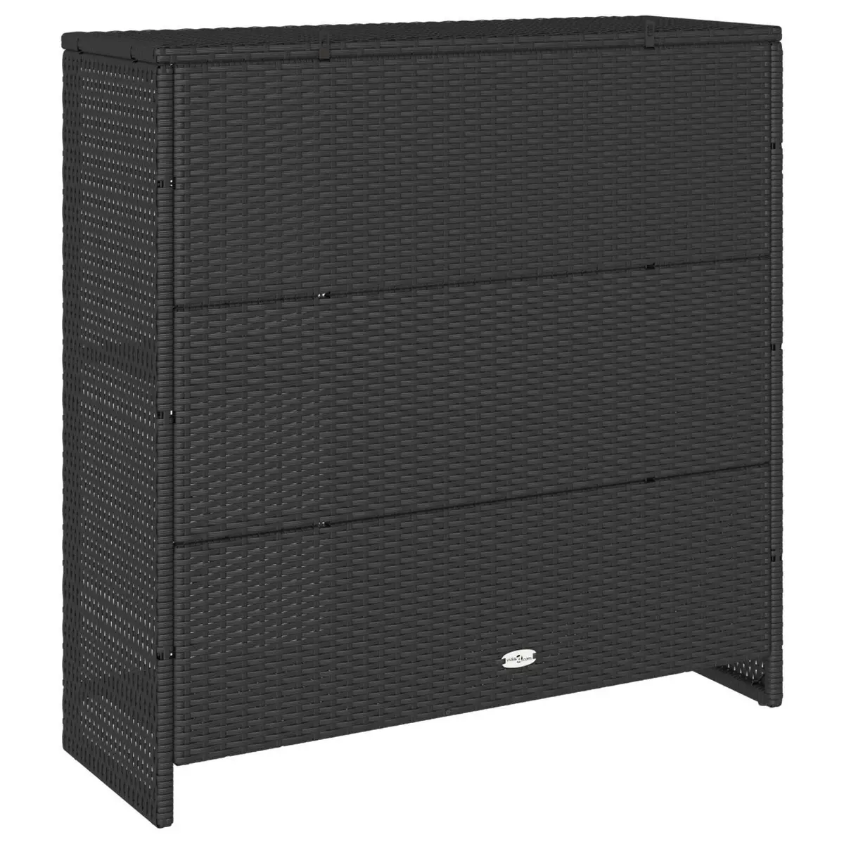 Storage Cabinet Black Rattan Rectangular Modern Living Room Organizer