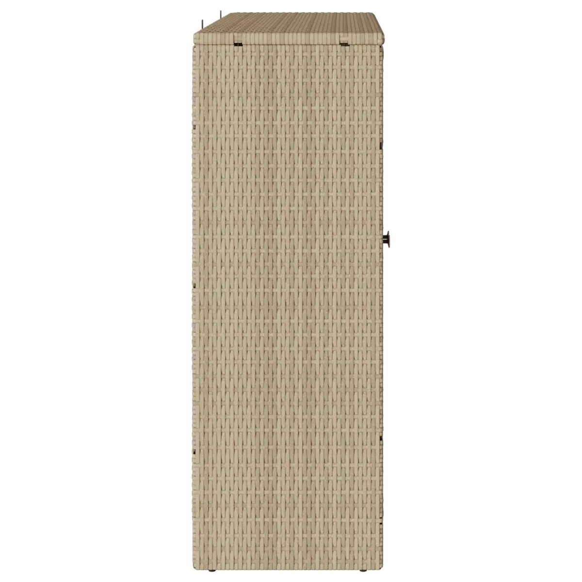 Rattan Beige Storage Cabinet Rectangular Living Room Furniture with Adjustable Shelves 100x36x102cm