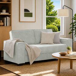 Light Grey Velvet 2-Seater Sofa for Living Rooms