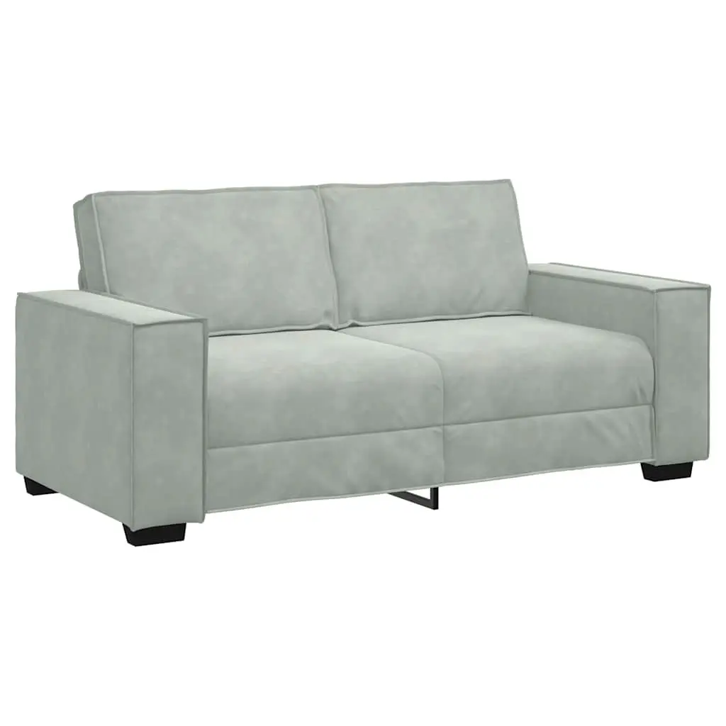 Light Grey Velvet 2-Seater Sofa for Living Rooms