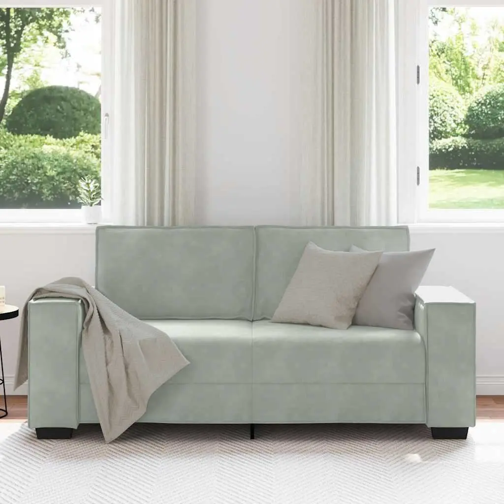 Light Grey Velvet 2-Seater Sofa for Living Rooms